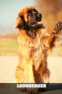 Leonberger