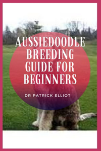 Aussiedoodle Breeding Guide For Beginners