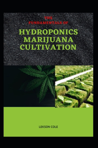 The Fundamentals of Hydroponics Marijuana Cultivation