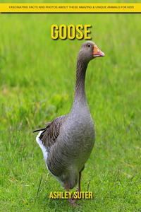 Goose