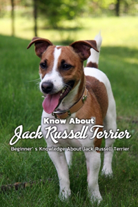 Know About Jack Russell Terrier