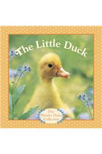 The Little Duck