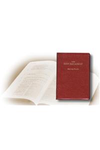 Recovery New Testament-OE