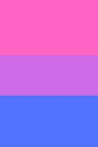 Bisexual Pride Sudoku