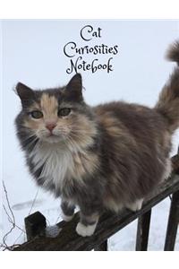 Cat Curiosities Notebook