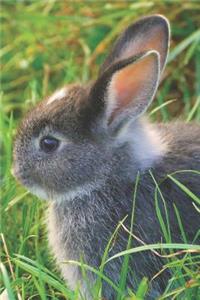 Bunny Rabbit Dot Grid Journal