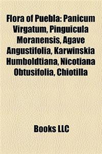 Flora of Puebla