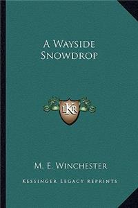 Wayside Snowdrop