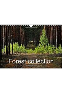Forest Collection 2017