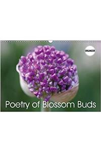 Poetry of Blossom Buds 2018