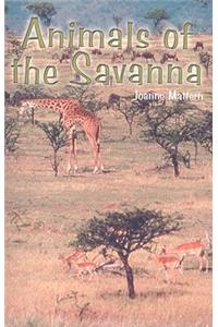 Animals of the Savanna