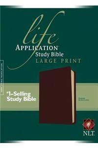 NLT Life Application Study Bible Large Print, Burgundy