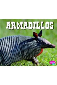 Armadillos