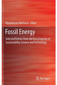 Fossil Energy