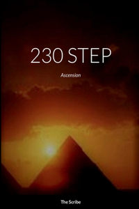 230 Step