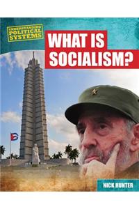 What Is Socialism?