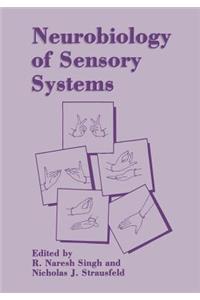 Neurobiology of Sensory Systems