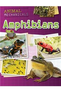 Amphibians