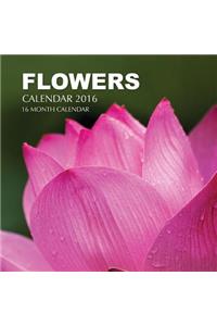 Flowers Calendar 2016