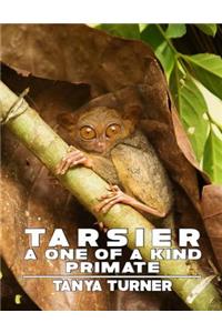 Tarsier