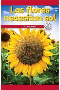 Las Flores Necesitan Sol: Si... Entonces (Flowers Need Sun: If...Then)