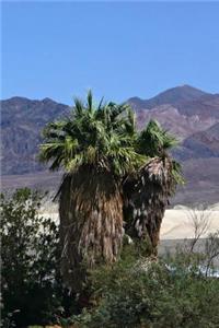 Landscape with Palm Trees Death Valley California Journal