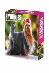 Yorkies 2023 Box Calendar