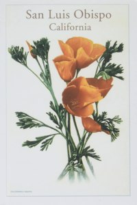 The Vintage Journal San Luis Obispo, California Poppies