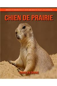 Chien de Prairie