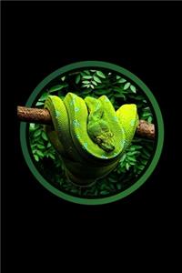 Green Tree Python Notebook