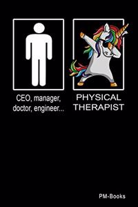 Physical Therapist