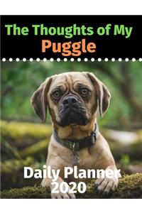 The Thoughts of My Puggle