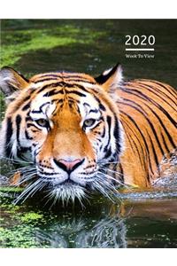 2020 A4 Diary Week To View Planner For All Occasions