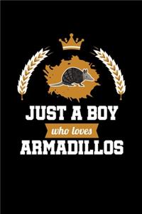 Just A Boy Who Loves Armadillos