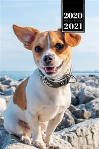 Chihuahua Dog Calendar Week Planner 2020 / 2021 - On the Coast