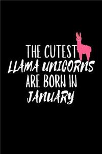 The Cutest Llama Unicorns Are Born In January