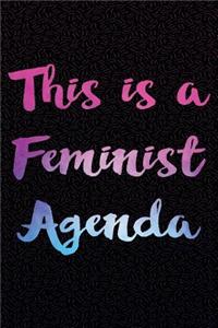 This Is a Feminist Agenda