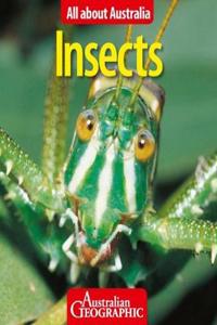 All About Australia: Insects