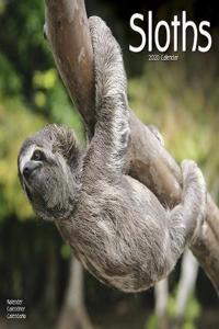 Sloths Calendar 2020