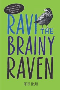 Ravi the Brainy Raven