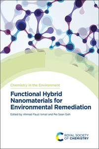 Functional Hybrid Nanomaterials for Environmental Remediation