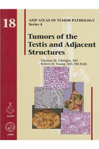 Tumors of the Testis and Adjacent Structures