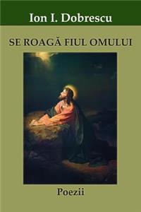Se Roag Fiul Omului