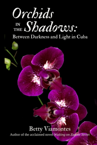 Orchids in the Shadows