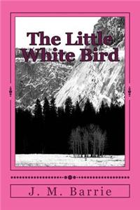 The Little White Bird