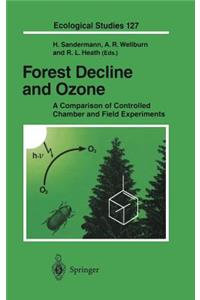 Forest Decline and Ozone