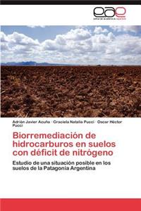 Biorremediación de hidrocarburos en suelos con déficit de nitrógeno