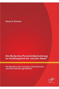 Borderline-Persönlichkeitsstörung im Handlungsfeld der sozialen Arbeit