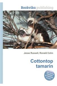 Cottontop Tamarin