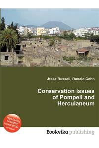 Conservation Issues of Pompeii and Herculaneum